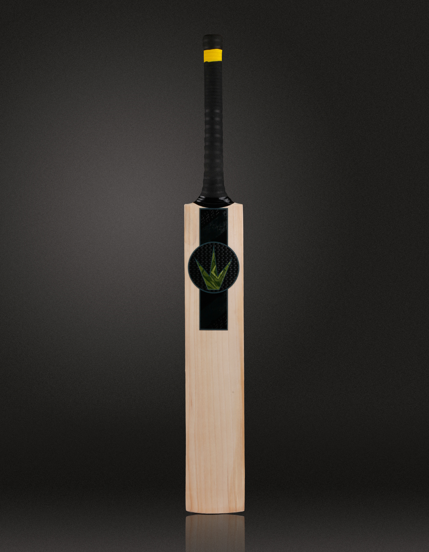 LAMINATED PLAYERS English Willow Bats